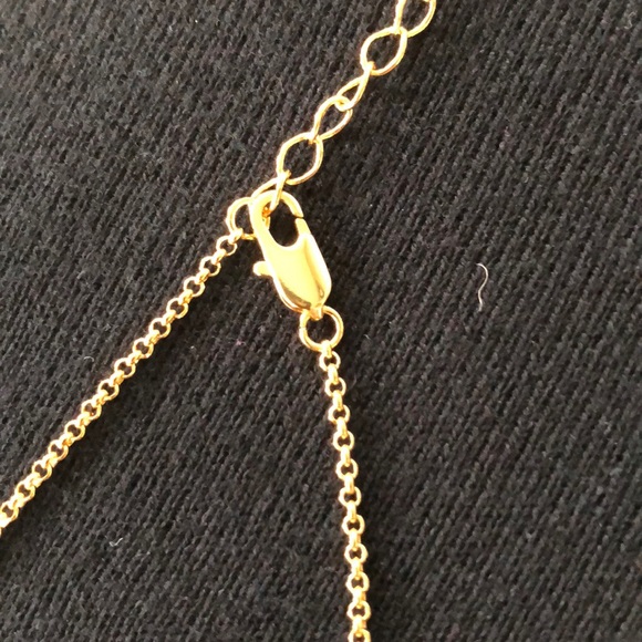 NWT Michelle Campbell gold necklace - Picture 6 of 8
